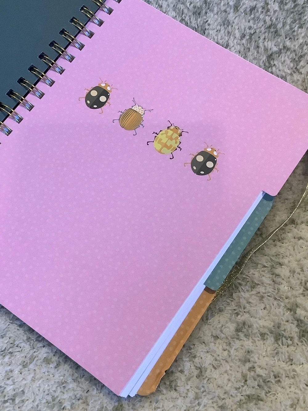 Stay Focused Spiral 3 Subject Notebook with Colorful Bug Design NWT 160pgs 8x10”